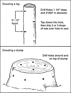 Dowel Spawn Instruction Illustration