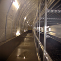 A clean growing room with cased beds