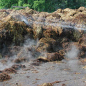 Compost beginning to heat up